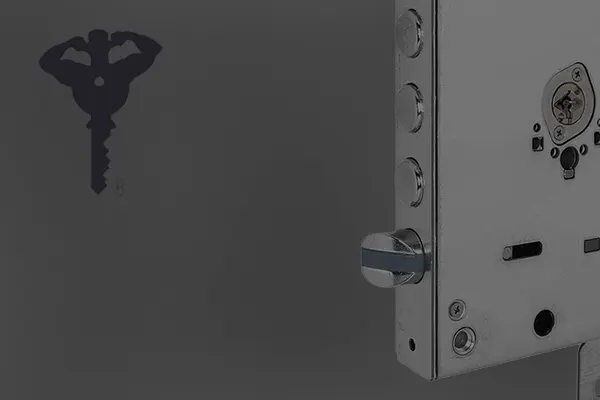 MUL-T-LOCK OMEGA PRO
